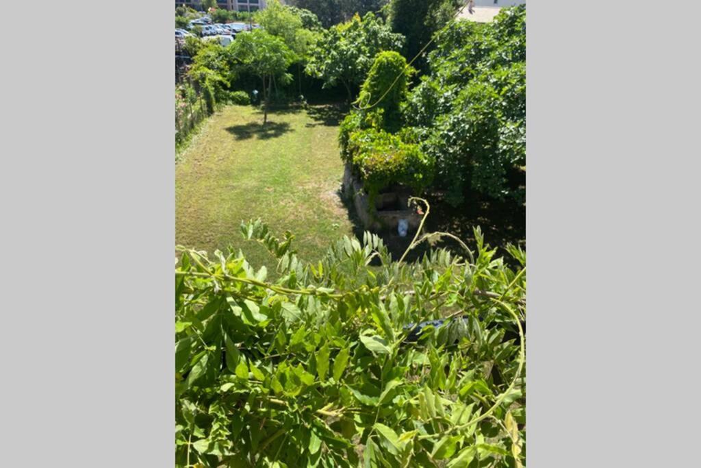 Petite Maison De Charme - Le Jardin Secret D'Alice ロクブリューヌ・シュル・アルジャン エクステリア 写真